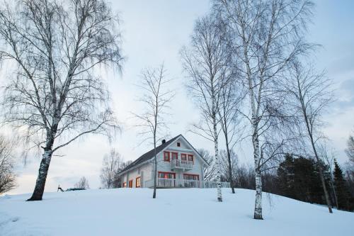 VahtseliinaVasekoja Holiday Center的雪中树屋