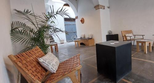 圣路易斯Ndar Ndar House的一间带长凳和植物的客厅