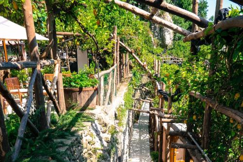 斯卡拉Poggio Angelarosa: Lemon Garden Stay&Relax的花园中一条带围栏的小路