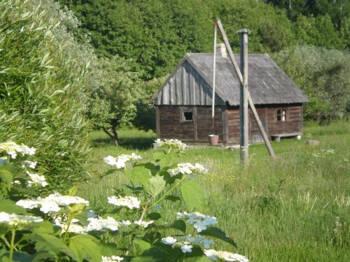尤卡尔内Lūķi, Lauku sēta的花草丛中的一个古老的谷仓
