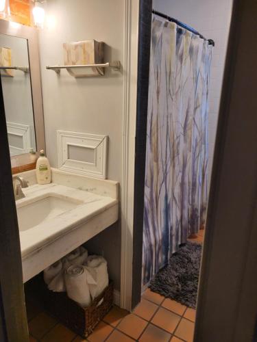 辛辛那提Modern style and comfort near UC的一间带水槽和淋浴帘的浴室