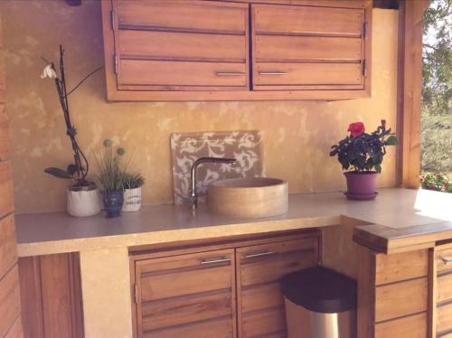 圣弗洛朗Bergerie tout confort L'immortelle的厨房柜台设有水槽和一些植物