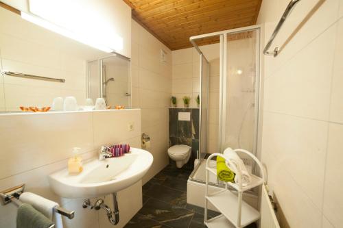 弗拉绍飞利浦斯公寓的一间带水槽、淋浴和卫生间的浴室