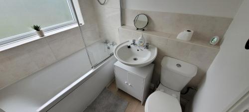 Kings NortonThe Hillside Apartment - King's Norton Birmingham的一间带卫生间、水槽和镜子的浴室