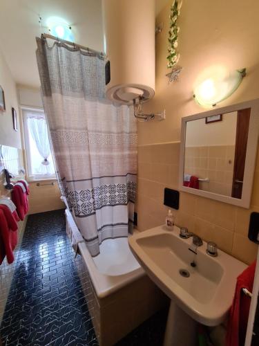 圣雷莫Casa dell amore 2的一间带水槽和淋浴帘的浴室