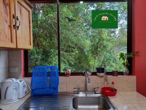 蒙泰韦尔德哥斯达黎加Casa de Montaña Tica Linda的带水槽的厨房台面和窗户