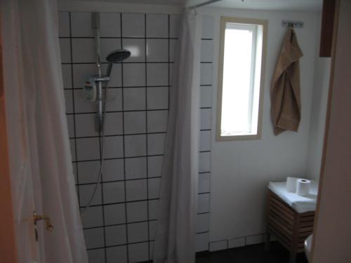 伊萨菲尔德舒适度假屋的带淋浴的浴室和窗户。