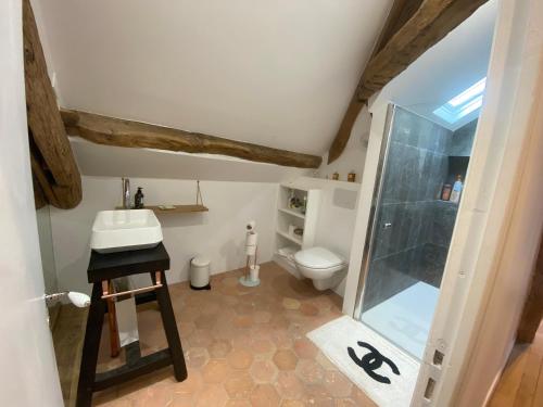 BonnellesLoft dans le clocher face au chateau的浴室配有卫生间、盥洗盆和淋浴。