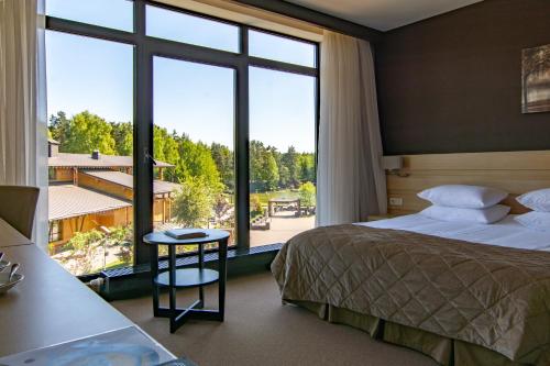 巴拉希哈艾迪兰酒店的酒店客房设有一张床和一个大窗户