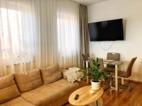 蒂萨菲赖德Boró Apartman的客厅配有沙发和桌子