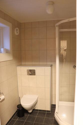 莱克内斯Visit Mortsund, Lofoten的一间带卫生间和淋浴的浴室