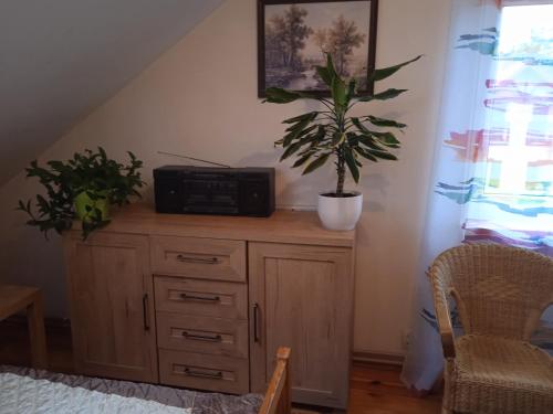 PrzerwankiDom na Mazurach的木柜,上面有收音机和植物