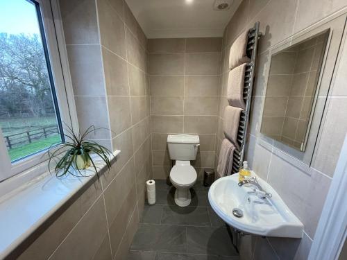 布罗肯赫斯特Graceland Farm B&B的一间带卫生间、水槽和窗户的浴室