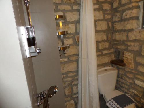 ElaíaKalpaki stone apartment 2.的一间带石墙和卫生间的浴室