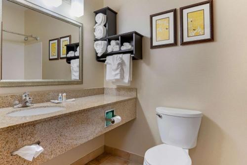 南菲尔德南菲尔德康福特套房酒店的一间带卫生间、水槽和镜子的浴室