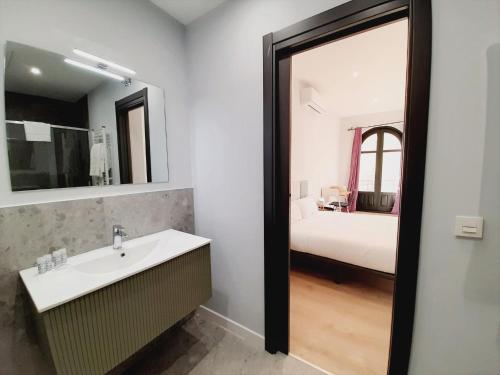 萨拉曼卡Apartamentos Vega by gaiarooms的一间带水槽和镜子的浴室以及一张床