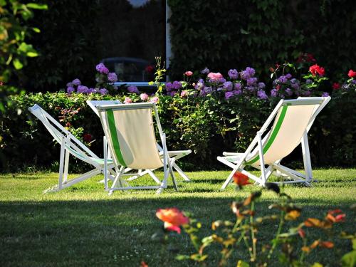 Fronsac佩蒂特·加洛斯住宿加早餐旅馆的两把草坪椅,坐在草地上,花朵