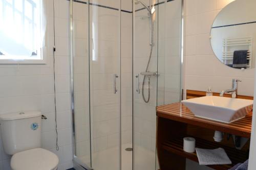 滨海圣布里阿克Le Tertre Gatinais的带淋浴、卫生间和盥洗盆的浴室