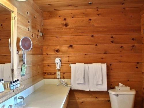 圣亚历克西德蒙萨卡科米水疗酒店的浴室设有木墙、卫生间和毛巾。