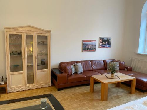 施特拉尔松德施特拉尔松德老城区城市公寓酒店的客厅配有棕色沙发和桌子