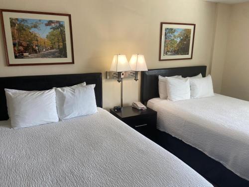 达拉姆杜克大学旅馆的酒店客房设有两张床和两盏灯。
