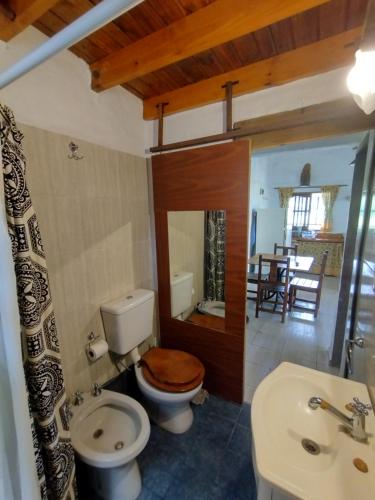 La RancheritaAlquimia en Las Cascadas的一间带卫生间和水槽的浴室