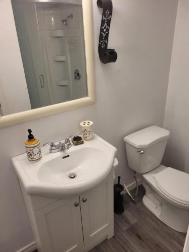 巴里Adorable Studio Basement Suite in South Barrie的一间带水槽、卫生间和镜子的浴室