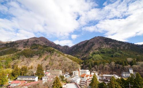 那须盐原市Shiobara Onsen Yashio Lodge的山城