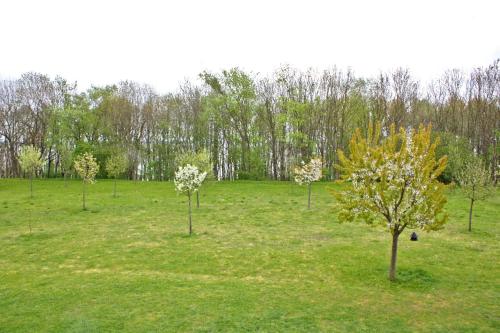 克林克Ferienwohnungen Klink SEE 5930的草场上的一群树木