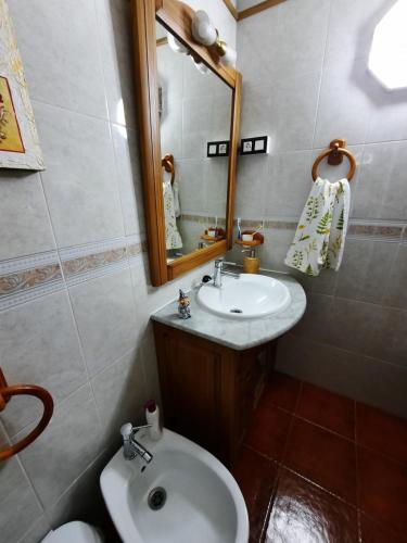 加尔达尔Casa de Abuela Petra的一间带水槽、镜子和卫生间的浴室