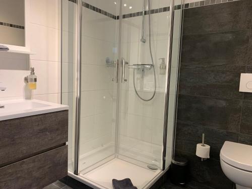 巴特贝林根Hotel Markgraf的带淋浴、卫生间和盥洗盆的浴室
