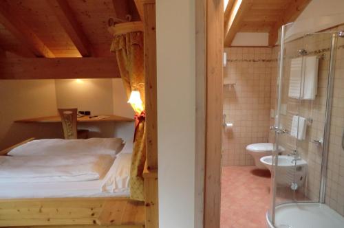 博曾安古Garnì Costa Verde的一间卧室设有一张床、淋浴和卫生间