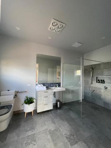 艾伯特港Boat Harbour Jetty B&B的浴室配有卫生间、盥洗盆和淋浴。