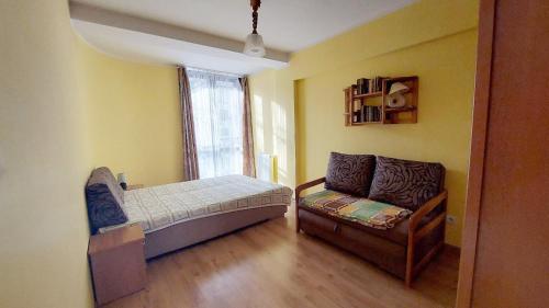 克雷尼察Apartament nad Potokiem的一间卧室配有一张床、一张沙发和一个窗口