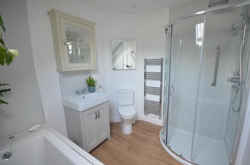 查格福德Arch Cottage的带淋浴、卫生间和盥洗盆的浴室