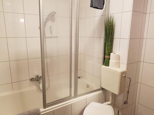 特森Ferienwohnung-Haus Holly的带淋浴、卫生间和浴缸的浴室