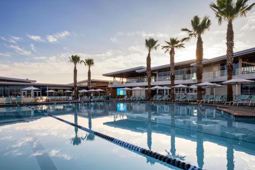 丘拉维斯塔Sun Outdoors San Diego Bay的棕榈树酒店前的游泳池