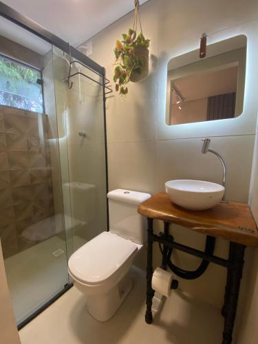 圣保罗URBAN BOX HOUSE的浴室配有卫生间、盥洗盆和淋浴。