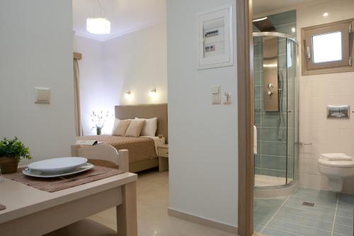 瓦西利基Savinos Rooms的带淋浴和卫生间的浴室以及一间卧室。