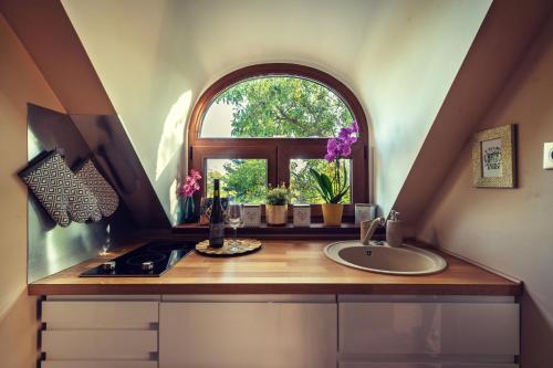 巴拉通尤洛克Panorama Home的厨房设有水槽和窗户。