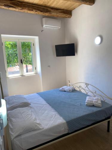 帕尔盖利亚Appartamento da Antonio的卧室配有一张床铺,墙上配有电视