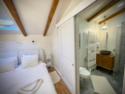 沃利乌格乡Vila Montana Valiug的一间带一张床、淋浴和卫生间的浴室