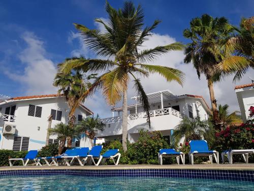 Sabana WestpuntMarazul Dive Apartment F1的一个带游泳池和棕榈树的度假村