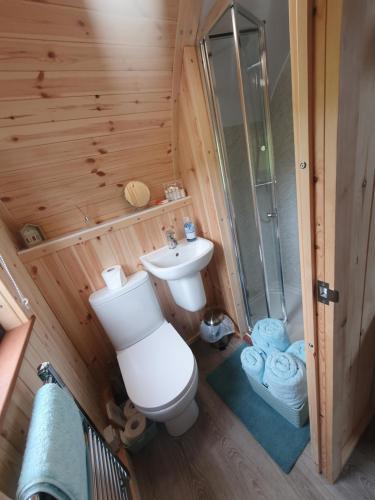 奥克尼Lilly's Lodges Orkney Robin Lodge的浴室配有卫生间、盥洗盆和淋浴。