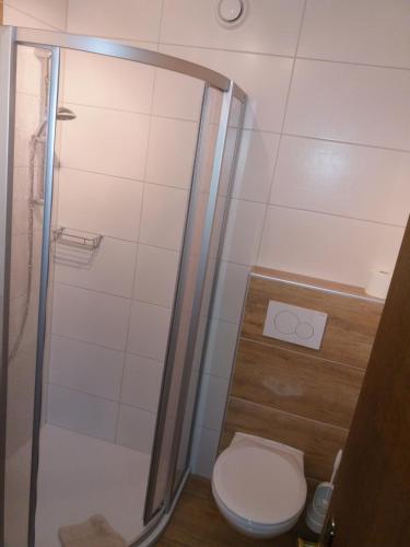 米明索奈恩霍夫旅馆的一间带卫生间和淋浴的浴室