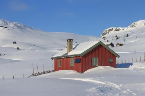 SkammesteinOlestølen的雪中的一个红房子,有山