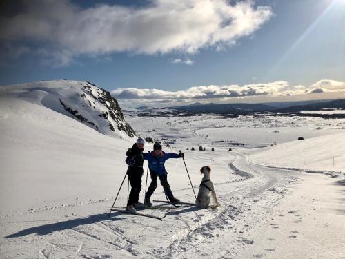 SkammesteinOlestølen的两个人和一只滑雪狗在雪地里