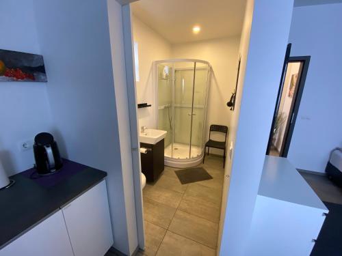 凯夫拉维克艾斯宾馆的带淋浴、卫生间和盥洗盆的浴室