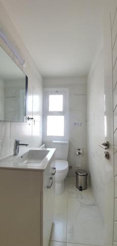 尼科西亚KALIDONIA RESIDENCE Suite Nicosia , Spacious 2 BR suite with office的白色的浴室设有水槽和卫生间。