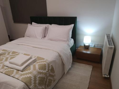 尼科西亚KALIDONIA RESIDENCE Suite Nicosia , Spacious 2 BR suite with office的卧室配有一张带白色床单和枕头的大床。